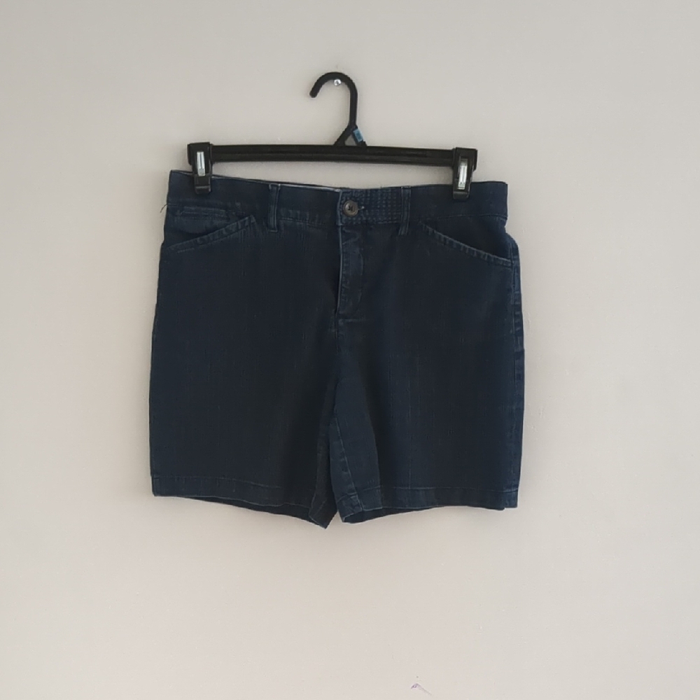 Intro Love The Fit Stretch Denim Shorts